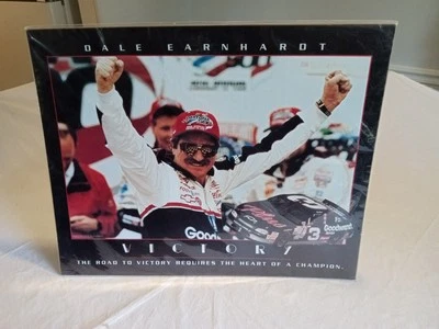Dale Earnhardt Sr 3 Daytona 500 Victory Circle Picture Cardboard Frame 16x20” - Image 1 of 4