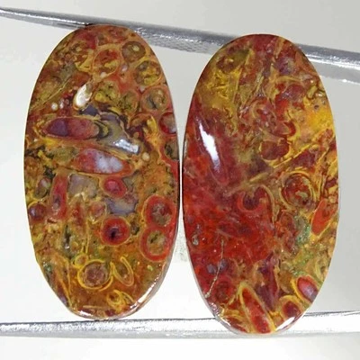 22.80Cts Natural Red Palm Root Agate Oval Pair Cabochon Loose Gemstone 13x26x3mm - Image 1 of 4