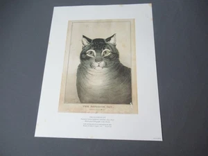 The Favorite Cat Vintage Print Nathaniel Currier - MMA - 12x16 - i5 rb/vh - Picture 1 of 11