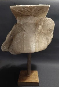 Coiffe ancienne malvina du canton de Ménigoute Deux-Sèvres tulle brodé XIXème - Imagen 1 de 13