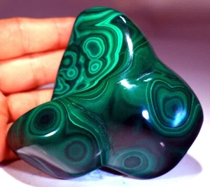 4" 1 lb 9.2 oz Top Quality Polished Bull's Eye Malachite, Congo! M645 - Picture 1 of 5