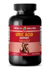 antioxidant all in one - URIC ACID FORMULA- urinary food kidney support 1 Bottle
