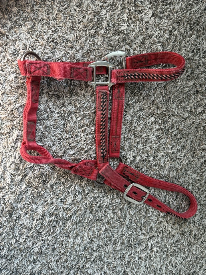 Caballo halter de nailon negro y rojo tamaño completo Foto 1 de 4