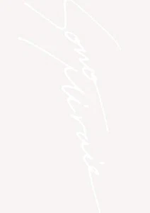 DVD SID15th Anniversary GRAND FINAL at Yokohama Arena First Edition KSBL-6332 - Picture 1 of 1