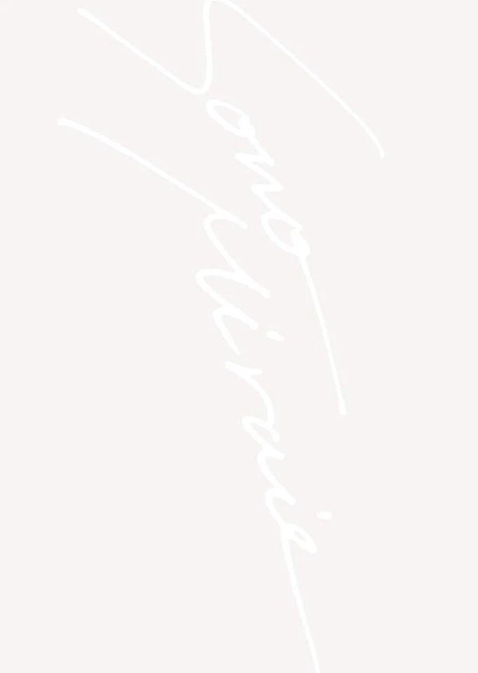 DVD SID15th Anniversary GRAND FINAL at Yokohama Arena First Edition KSBL-6332 - Image 1 of 1