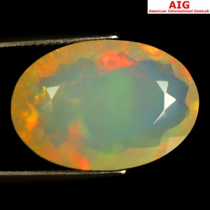 Piedra preciosa ópalo arco iris de forma ovalada premium (21 x 14 mm) de 9,71 quilates con certificación AIG - Imagen 1 de 2