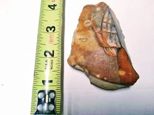 BEAUTIFUL AMERICAN INDIAN ARTIFACTS PALEO SQUARE KNIFE, MISSOURI *FREE SHIPPING* - Picture 1 of 7