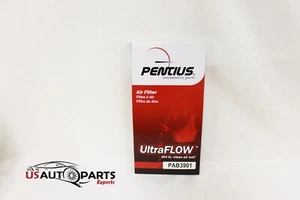 Air Filter Pentius PAB3901 - Picture 1 of 2