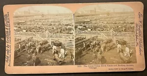 Stereo View Curved Tan Mount Chicago ILGreat Union Stock Yards and Packing House - Picture 1 of 2