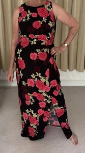 Evening/Prom/Wedding/Special Occasion Dress. Brand New With Tags. M&S SIZE 14/16 - Picture 1 of 9