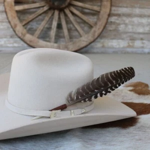 Large Hat Turkey Feather - Goliad - Picture 1 of 4