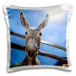 3dRose Donkey in a farm 16x16 inch Pillow Case - Picture 1 of 1