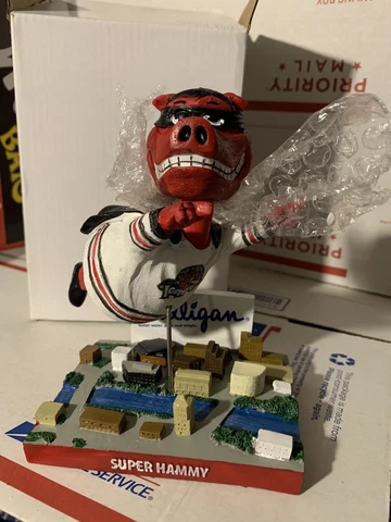 2018-2019 ROCKFORD ICEHOGS SUPER HERO "SUPER HAMMY" SGA BOBBLEHEAD BLACKHAWKS Cover