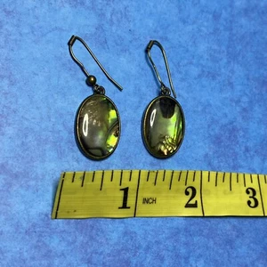 Pair Of Oval Abalone Dangle Drop Earrings - Picture 1 of 3