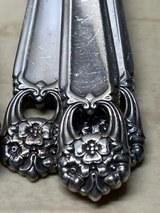Vintage 1847 Rogers Bros. "Eternally Yours" Silver Plated Flatware Set 17 Pieces - Picture 1 of 14