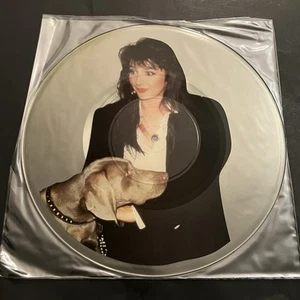 Kate Bush Interview 85 12” Picture Disc~England / UK Import~RARE~Hounds Of Love - Picture 1 of 2
