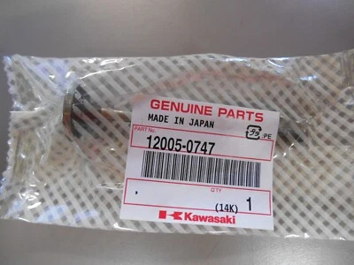 NUEVO Válvula de escape motor Kawasaki 12005-0747 12005-0765 Ninja H2 H2R 2015-2021 Foto 1 de 2