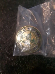 Town Of Woodstock New Brunswick Lapel Pin Pinback FREE COMBINED SHIPPING - Picture 1 of 2