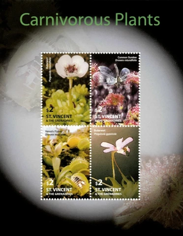 St. Vincent 2004 - Carnivorous Plants Flora - Sheet of 4 Stamps Scott #3465 MNH Cover