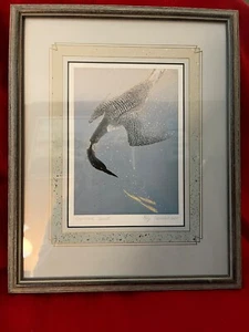 Roy Tomlinson Jewelled Spirit litografia matita firmata a mano 6x8 incorniciata 11x13,5 - Foto 1 di 9