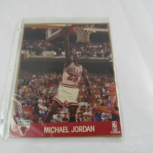 1990 Michael Jordan NBA Hoops fotos de acción jumbo 8 X 10 - nuevas y selladas - Imagen 1 de 12