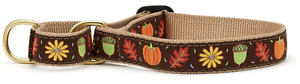 Up Country Dog Martingale Collar, XL 20-25"  1" wide Harvest Made In USA X-Large