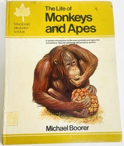 Rare 1st Edition THE LIFE OF MONKEYS AND APES by Michael Boorer. Illustrated. - Picture 1 of 3