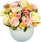 Buttercream | Aquabloom Fresh Flower Arrangement with Vase | Designed by  | Flow