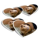 4x Herz Aufkleber - entzückender Ingwer Hamster Haustier #3820