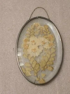 Vintage weiße Trockenblumen Glas oval hängende Wanddeko - Bild 1 von 2