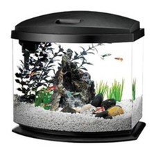 small bow front aquarium