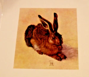 Albrecht Durer Young Hare Vintage Art Print Animal Bunny Rabbit Hare laminated - Picture 1 of 5