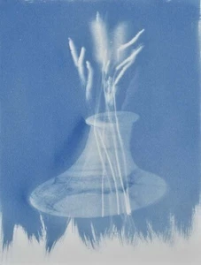 Cianotipia, VASO CON ERBE, Rita-Mungiardi, 2023, originale 31X40,5cm - Foto 1 di 10