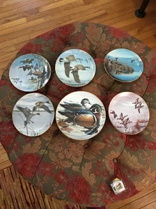 MIGRANTS PLATE DAVID MAASS DUCKS TAKING FLIGHT 5 Plus Wood ducks Hunting Plate - Picture 1 of 8