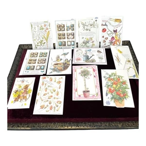 12 Marjolein Bastin Hallmark Greeting Cards & Envelopes Floral & Birds #1 - Picture 1 of 8