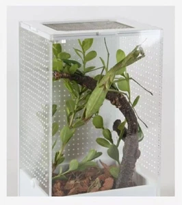 Caja de alimentación jaulas arbóreas insectos palo mantis religiosa recinto VENTILADO LATERAL L - Imagen 1 de 9