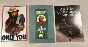 3 Smokey Bear Poster Karton Smokey is Counting on You Mülleimer Feuer 80er - Bild 1 von 5