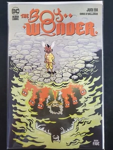 Cómics de The Boy Wonder #5 DC 2024 en estado bastante bueno/casi nuevo - Imagen 1 de 1