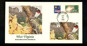 Commemorative Cover Birds National Audubon Society West Virginia WV Grosbeak - Picture 1 of 2