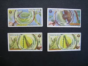 More details for typhoo tea series cards x 4 - common objects highly magnified - 1925