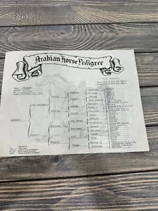 Arabian Horse Pedigree Certificate Ancestry Document Equine Lineage 1977 Jacrada - Picture 1 of 2