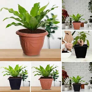 Venetian Plant Pot Garden Flower Pots Herb Planter & Saucer Tray Plants Holder - Picture 1 of 35