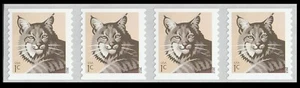 US 4672 Bobcat 1c coil strip 4 MNH 2012 - Picture 1 of 1