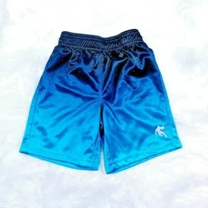 AND1 Toddler Boys 3T, Athletic Basketball Shorts, Blue - Picture 1 of 5