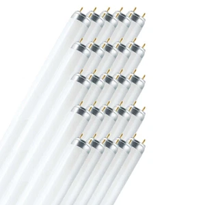 25 X Radium Fluorescent Lamps T8 Tubes 150Cm 58W/830 G13 5200Lm Warm White 3000K - Picture 1 of 4