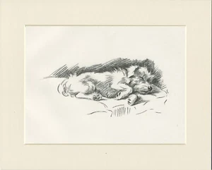 JACK RUSSELL TERRIER ORIGINAL ANTIGUO 1937 MONTADO PERRO IMPRESIÓN ARTÍSTICA por LUCY DAWSON MAC - Imagen 1 de 1