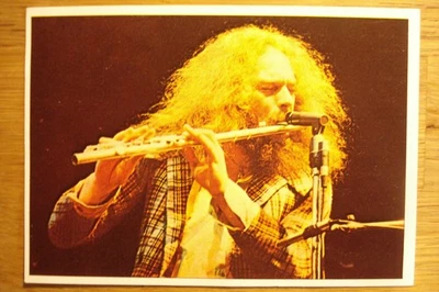 Aufkleber Mini-Poster STICKER PANINI POP STARS IAN ANDERSON JETHRO TULL BRAVO - Bild 1 von 2