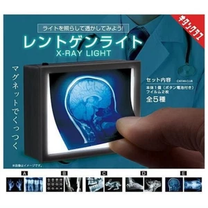 Kitan Club X-ray Light x Complete Set of 5 Complete Gachapon Capsule Toy - Picture 1 of 2