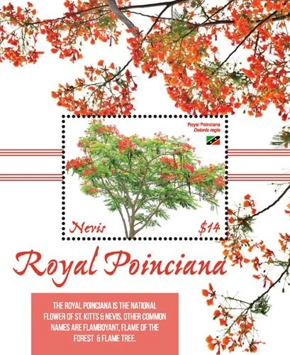 Nevis 2019 - Royal Poinciana - Souvenir stamp sheet -Scott #1986 -MNH - Image 1 of 1