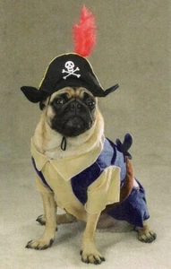 Zack & Zoey Pirate Pup, Dog Halloween Costume, XS Pet - Picture 1 of 3